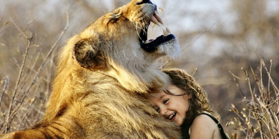 lion